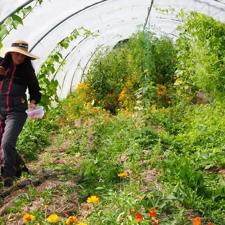 Le Des Jardins D'hayden Hébergement de vacances