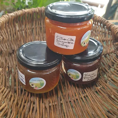 Tatil Evi Le Des Jardins D'hayden *