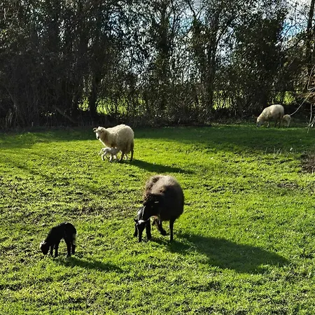 Le Des Jardins D'hayden * Courson