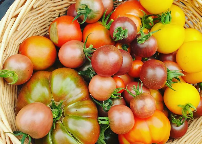 Feriehus Le Des Jardins D'hayden Courson