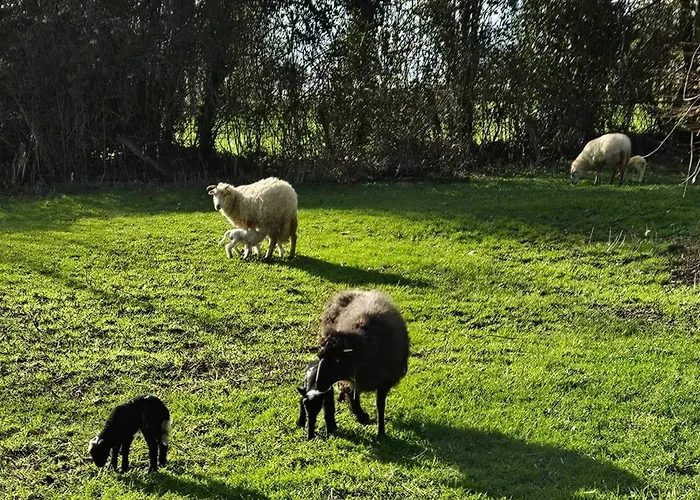 Le Des Jardins D'hayden * Courson